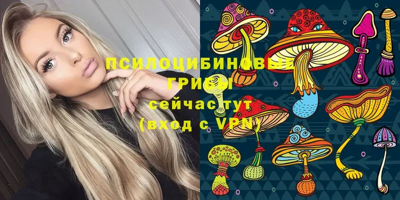 Псилоцибиновые грибы Psilocybe  Большой Камень 